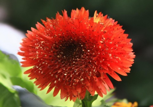 好，用户给了一个任务，让我先写一个文章标题，然后写不少于1000字的文章内容，主题是热玛吉。首先，我需要理解热玛吉是什么，它属于什么领域，可能涉及皮肤治疗、美容或者医疗美容之类的