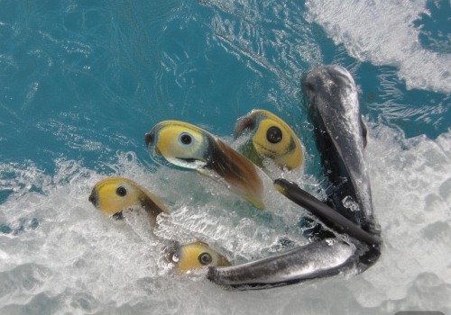 好,用户让我写一个关于疤痕预防的文章,标题是疤痕预防,从日常护理到科学治疗。首先,我需要理解疤痕预防的各个方面,包括饮食、生活方式、皮肤护理以及医疗方法 好,用户让我写一个关于疤痕预防的文章,标题是疤痕预防,从日常护理到科学治疗。首先,我需要理解疤痕预防的各个方面,包括饮食、生活方式、皮肤护理以及医疗方法