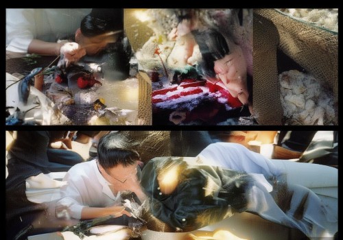 好，用户让我写一个关于疤痕预防的文章，标题是疤痕预防。首先，我需要确定文章的结构和内容。疤痕预防是一个比较专业的主题，可能需要涵盖医学知识、预防方法以及日常生活中的注意事项