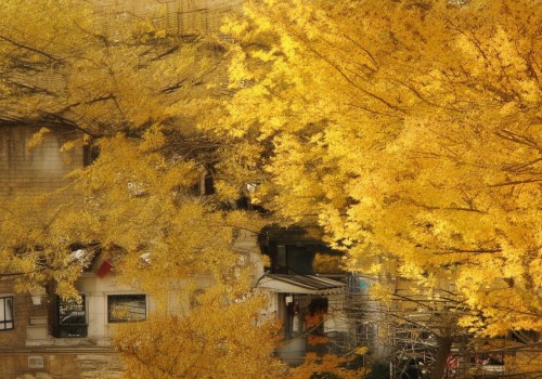 好,我现在需要帮用户写一篇关于肉条感修复的自媒体文章。首先,我得理解用户的需求。用户可能是一个自媒体作者,需要一篇不少于934字的文章,标题和内容都要写出来 好,我现在需要帮用户写一篇关于肉条感修复的自媒体文章。首先,我得理解用户的需求。用户可能是一个自媒体作者,需要一篇不少于934字的文章,标题和内容都要写出来