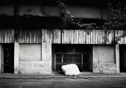 接下来，我需要构思一个吸引人的标题。标题要简洁明了，同时能引起读者的兴趣。比如双眼皮修复手术，从选择到恢复的全指南这样的标题，既涵盖了修复手术的全过程，又突出了指南的权威性