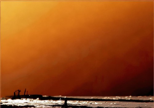 好，我现在需要帮用户写一篇关于眶隔脂肪释放的自媒体文章。首先，我得理解这个主题。眶隔脂肪释放，听起来和脂肪生物学有关，可能涉及脂肪细胞的特性、释放机制以及健康影响