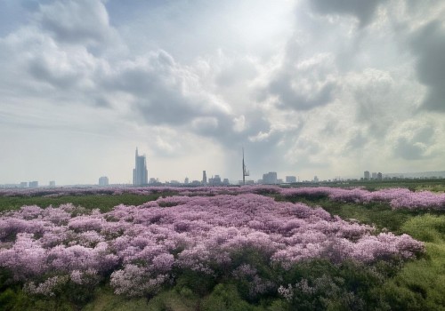 好，用户让我写一个关于眼周年轻化的自媒体文章，要求标题和不少于981个字的内容。首先，我需要确定文章的结构和重点。标题要吸引人，可能用眼周年轻化，从内到外的年轻秘密这样的标题，既点明主题，又有吸引力