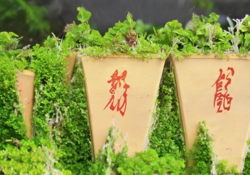 需要不少于927个字，所以要详细展开。我应该考虑文章的结构，可能分为几个部分，比如手术后的心理影响、抑郁情绪的成因、调节方法以及总结。每个部分都要有具体的例子和建议，这样内容才会充实