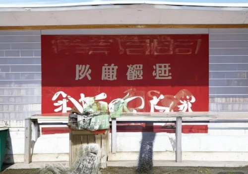 好，我现在需要帮用户写一篇关于眼整形术后抑郁情绪调节的文章。首先，我得理解用户的需求。用户是自媒体作者，所以文章需要吸引人，内容要实用，同时要有一定的专业性